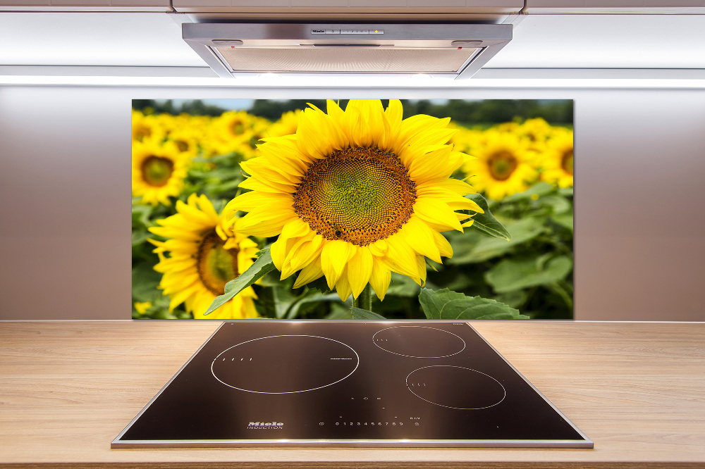 Cooker splashback Sunflower field