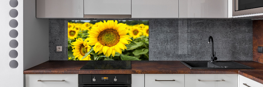 Cooker splashback Sunflower field