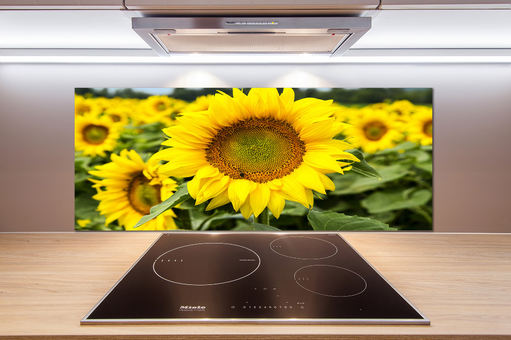 Cooker splashback Sunflower field