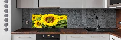 Cooker splashback Sunflower field