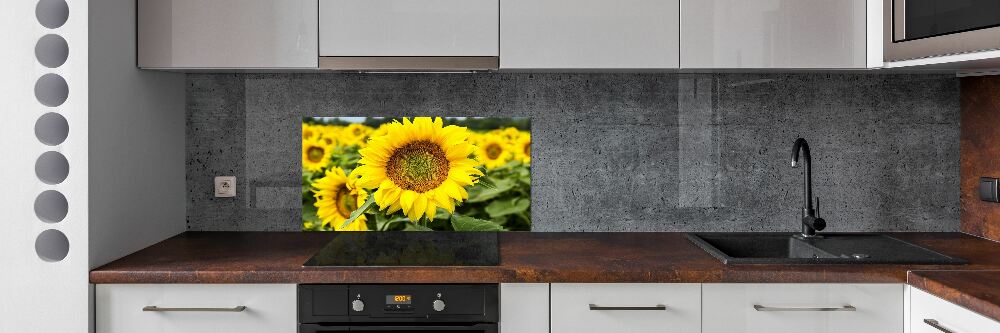 Cooker splashback Sunflower field