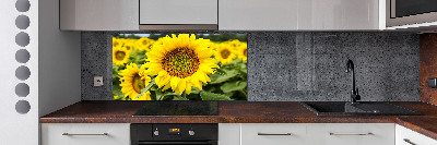 Cooker splashback Sunflower field