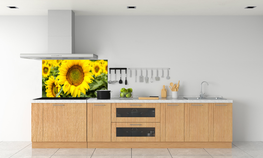 Cooker splashback Sunflower field