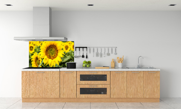 Cooker splashback Sunflower field