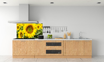 Cooker splashback Sunflower field