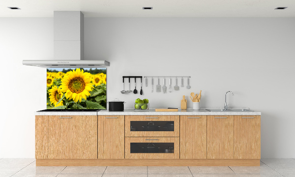 Cooker splashback Sunflower field