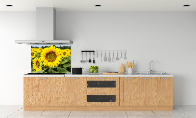 Cooker splashback Sunflower field