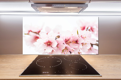 Cooker splashback Cherry blossoms