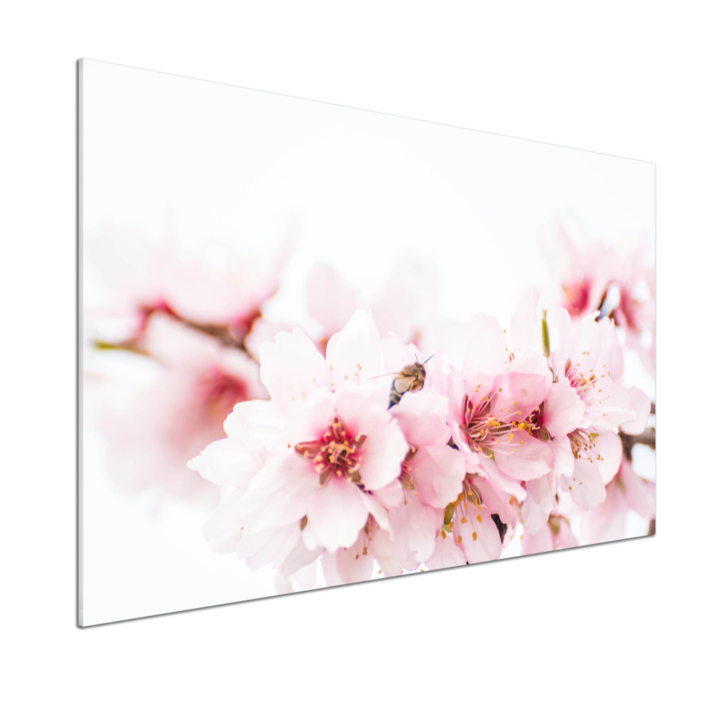 Cooker splashback Cherry blossoms