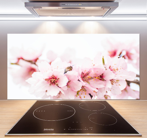 Cooker splashback Cherry blossoms