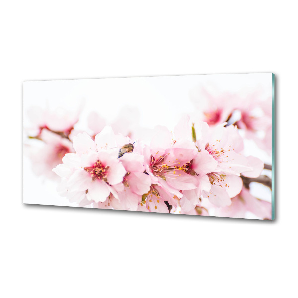 Cooker splashback Cherry blossoms