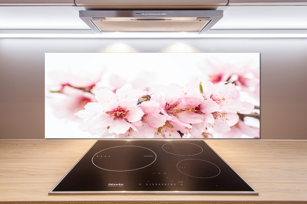 Cooker splashback Cherry blossoms