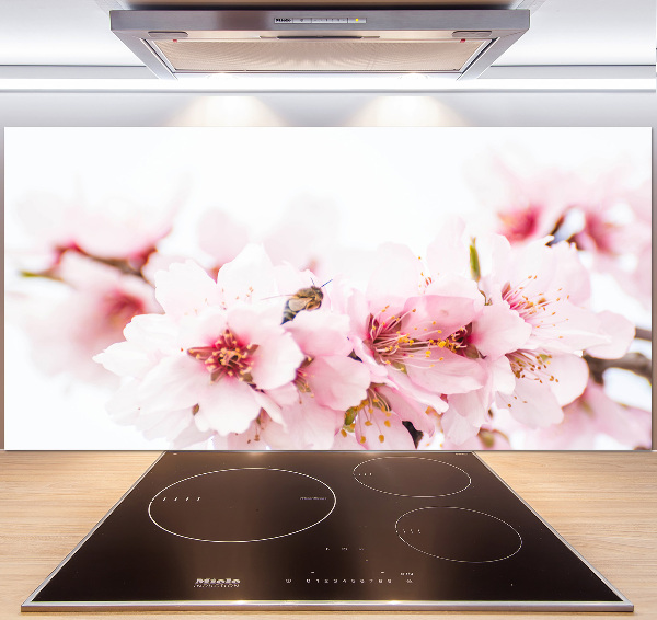 Cooker splashback Cherry blossoms