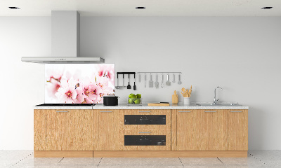 Cooker splashback Cherry blossoms