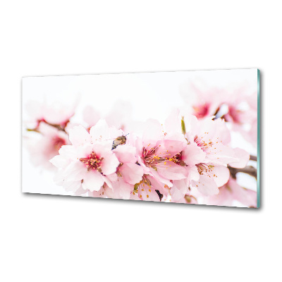 Cooker splashback Cherry blossoms