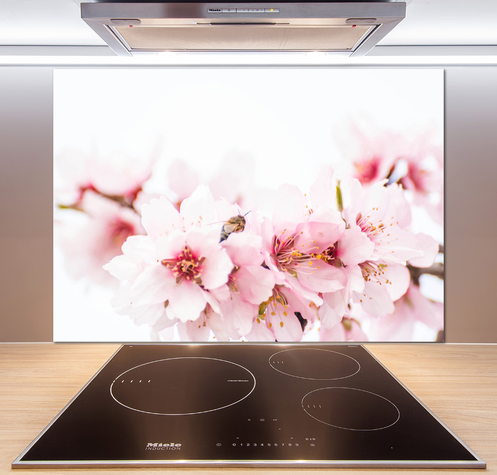 Cooker splashback Cherry blossoms