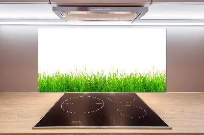 Cooker splashback Grass