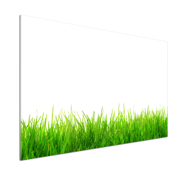 Cooker splashback Grass