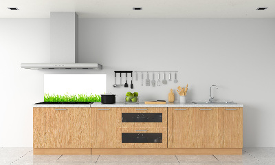 Cooker splashback Grass