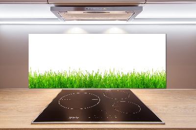 Cooker splashback Grass