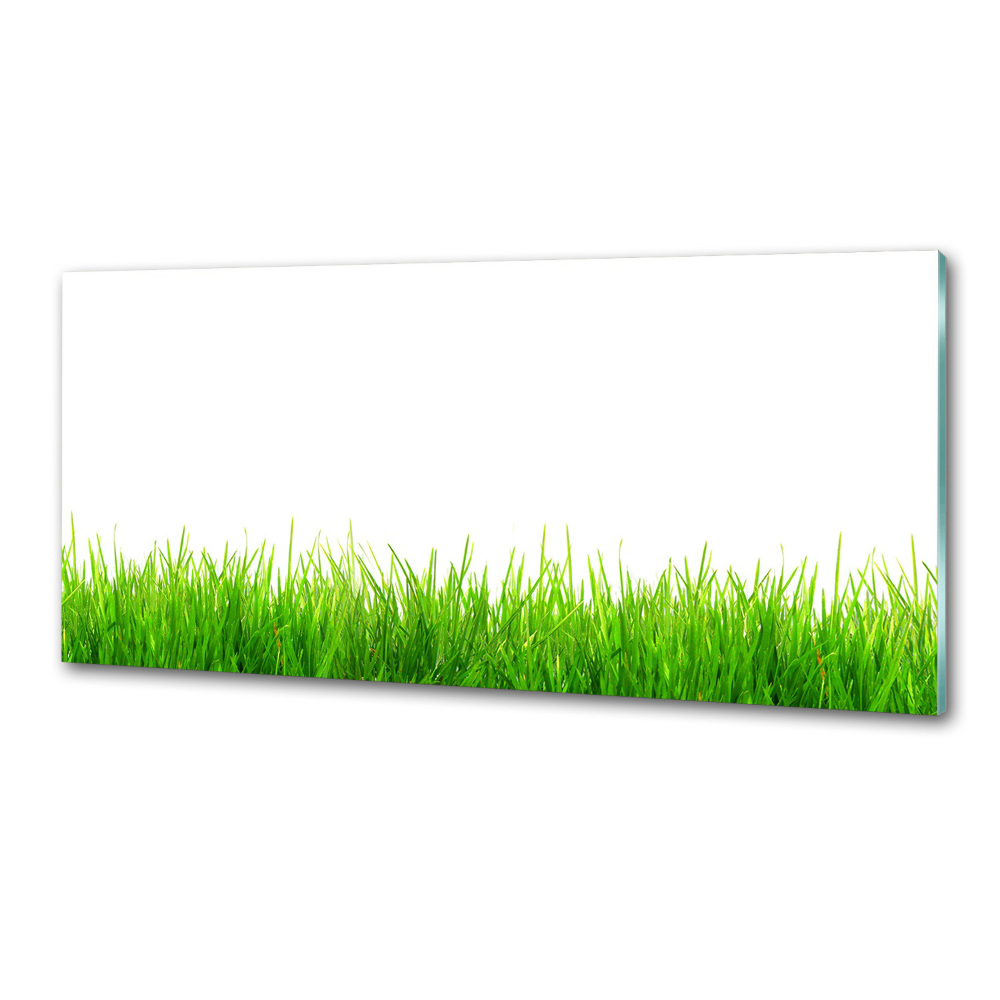 Cooker splashback Grass