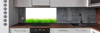 Cooker splashback Grass