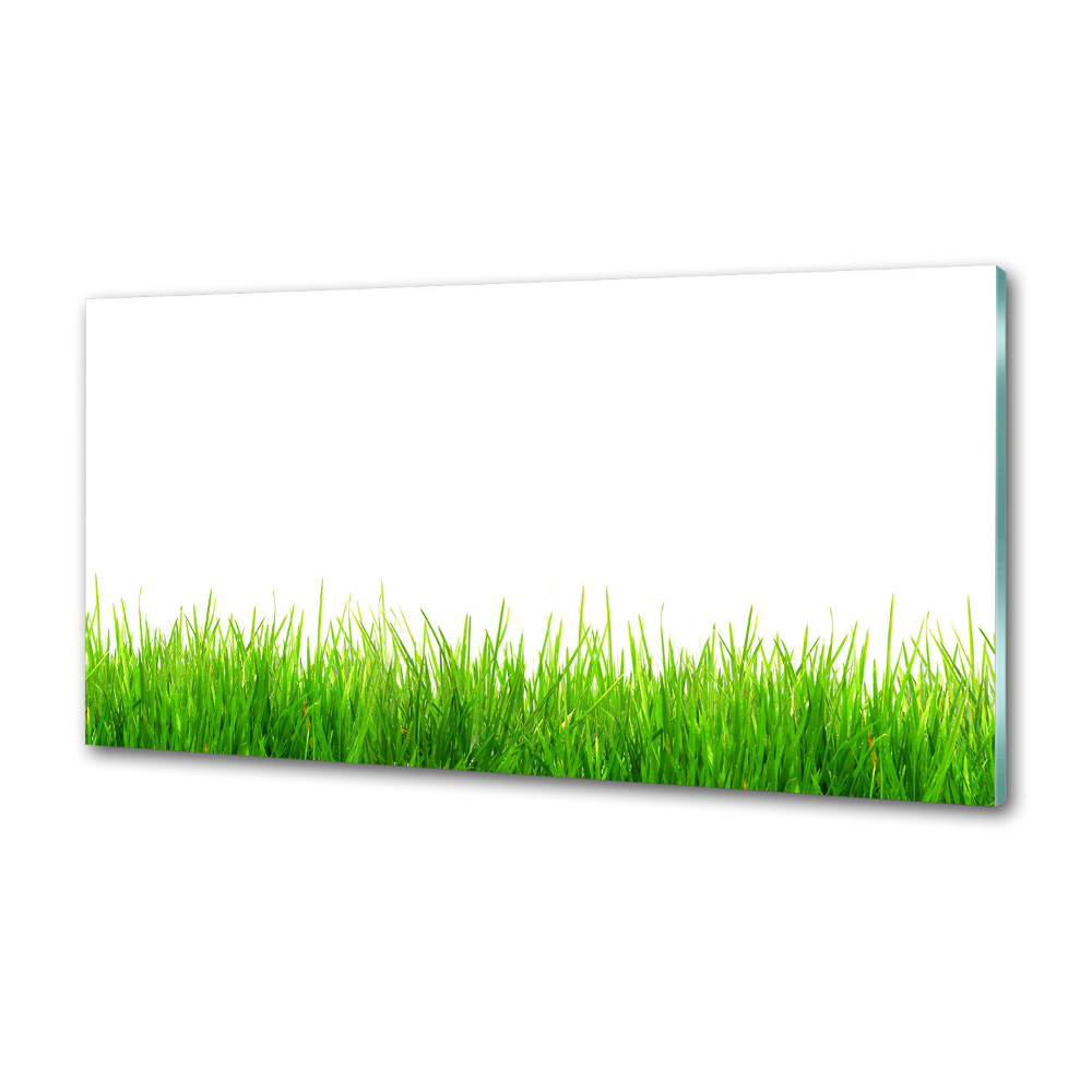 Cooker splashback Grass