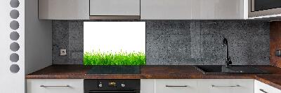 Cooker splashback Grass