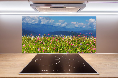 Cooker splashback Meadow in the mountains