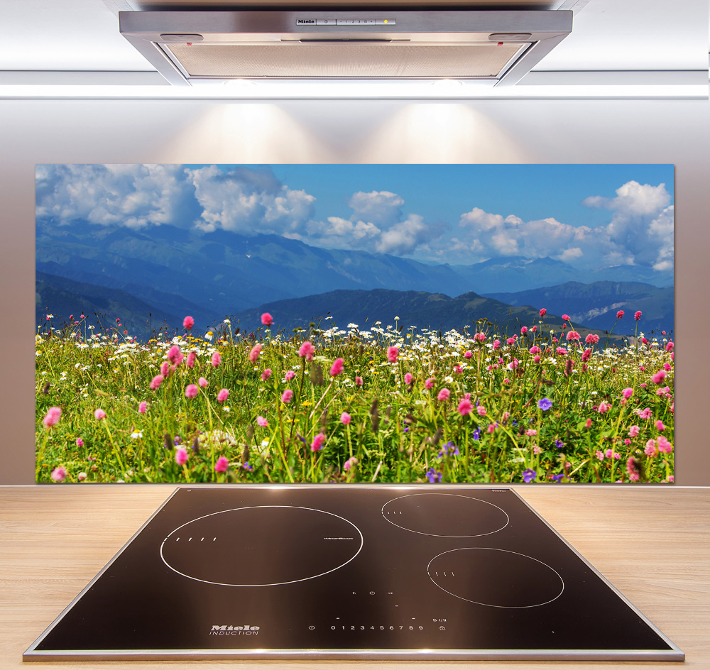 Cooker splashback Meadow in the mountains