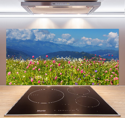 Cooker splashback Meadow in the mountains