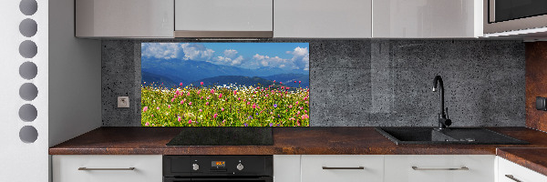 Cooker splashback Meadow in the mountains