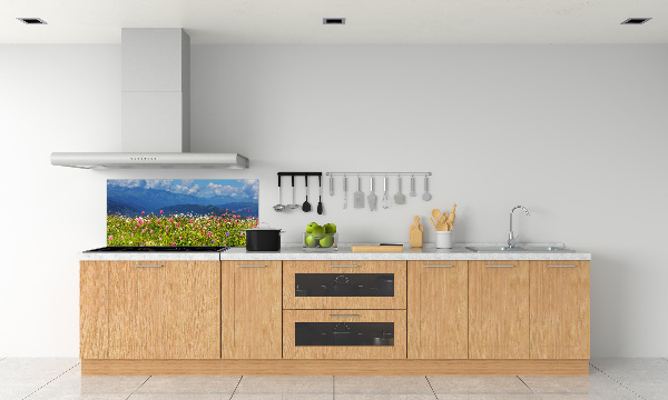 Cooker splashback Meadow in the mountains