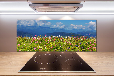 Cooker splashback Meadow in the mountains