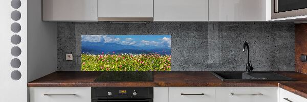 Cooker splashback Meadow in the mountains