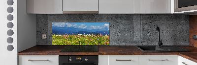 Cooker splashback Meadow in the mountains