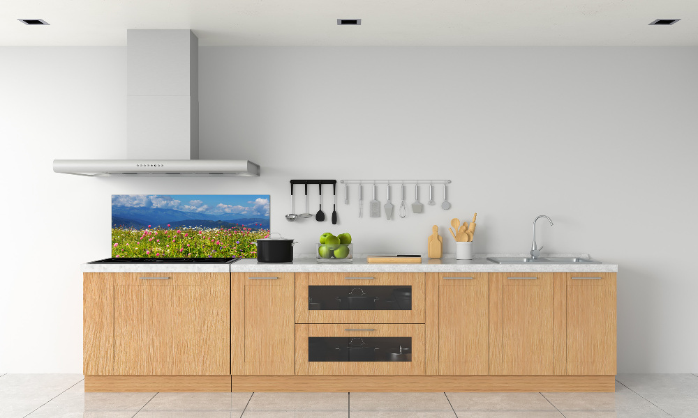 Cooker splashback Meadow in the mountains