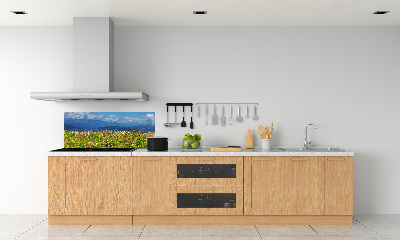 Cooker splashback Meadow in the mountains