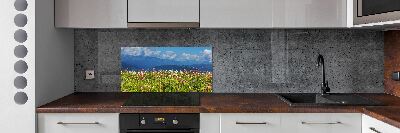 Cooker splashback Meadow in the mountains