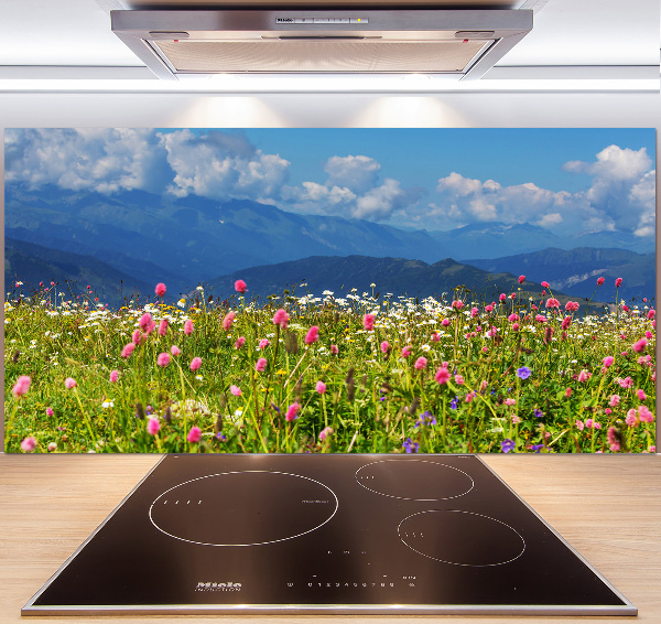 Cooker splashback Meadow in the mountains