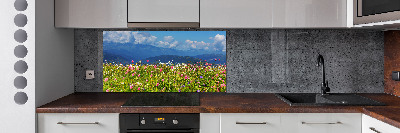 Cooker splashback Meadow in the mountains