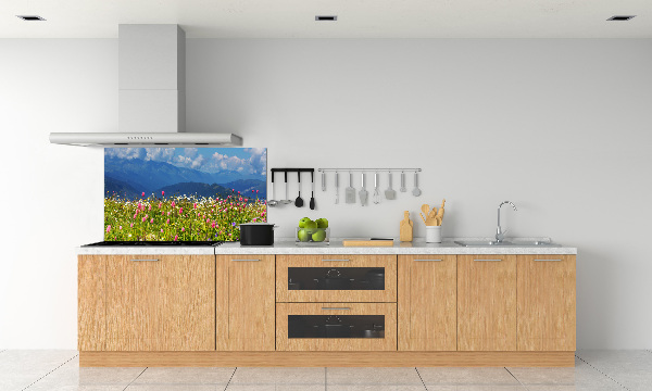 Cooker splashback Meadow in the mountains