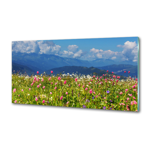 Cooker splashback Meadow in the mountains