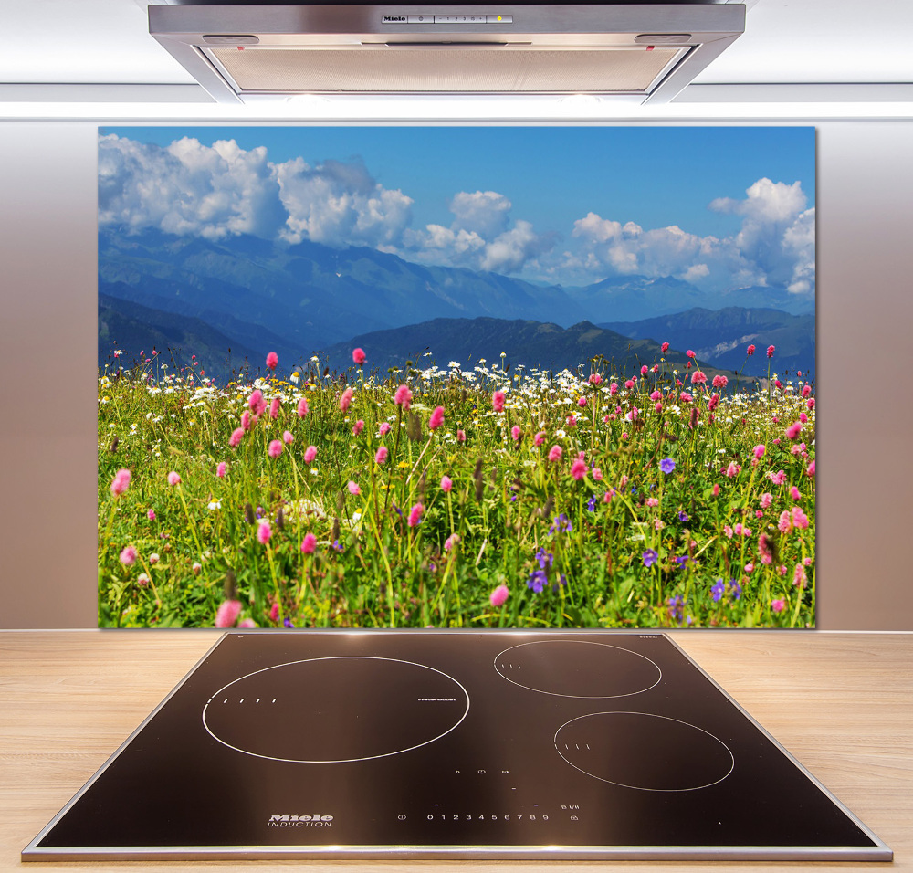 Cooker splashback Meadow in the mountains