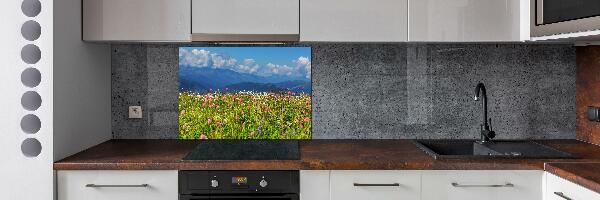 Cooker splashback Meadow in the mountains