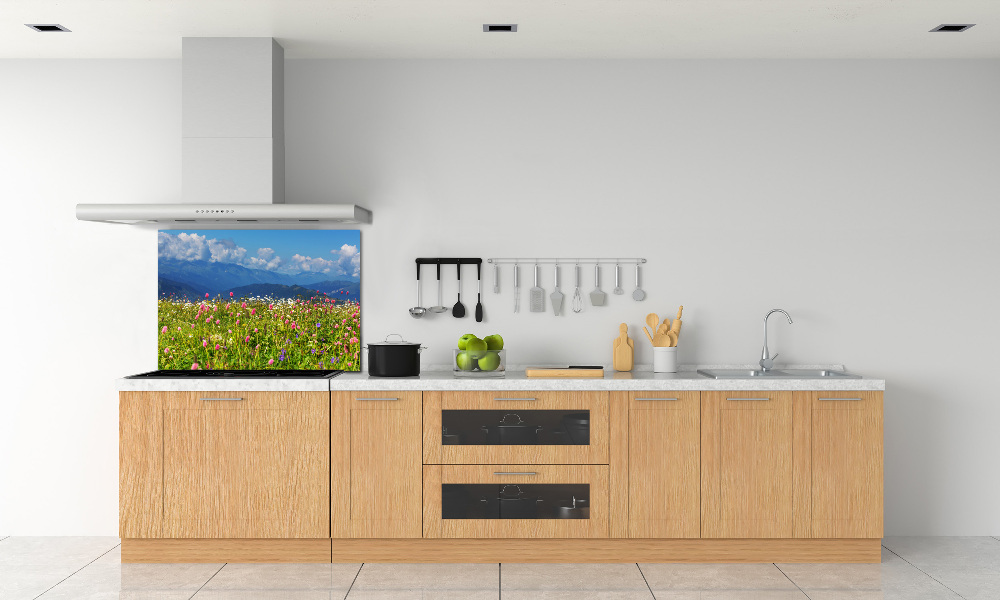 Cooker splashback Meadow in the mountains