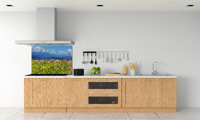 Cooker splashback Meadow in the mountains