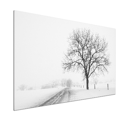 Cooker splashback Winter tree