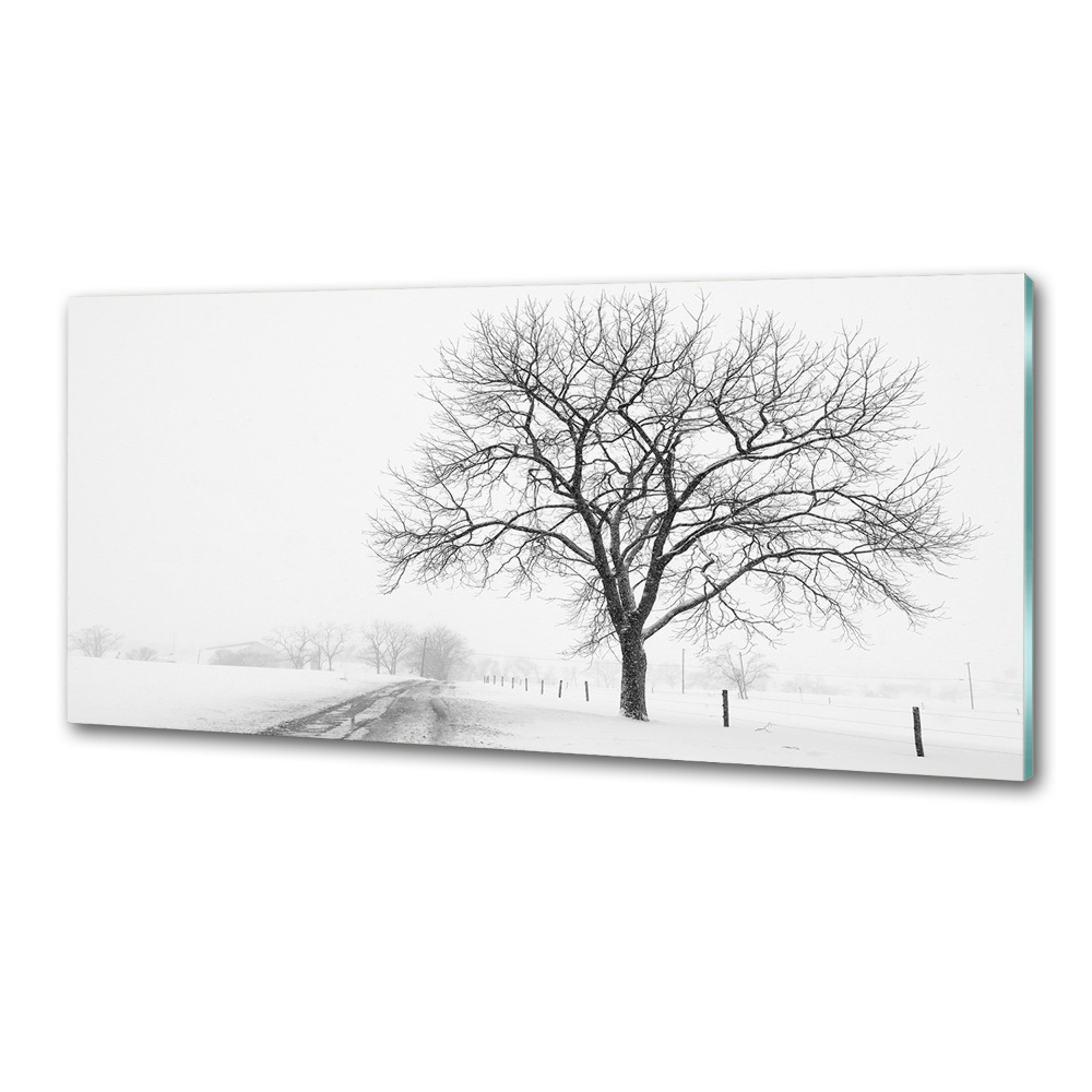 Cooker splashback Winter tree