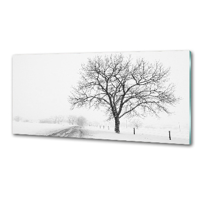 Cooker splashback Winter tree